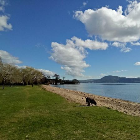 Great View Near Rotorua Lake Εξωτερικό φωτογραφία